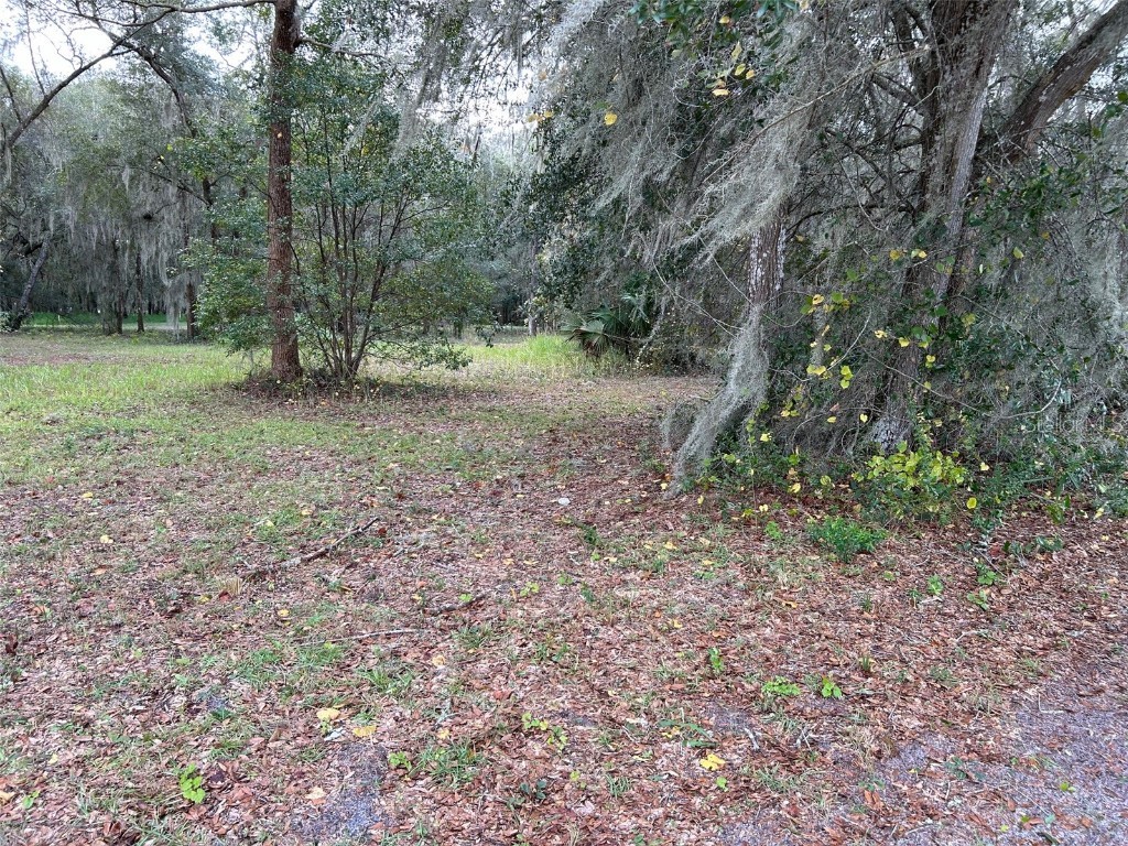 336 Turner Road Pierson FL 32180 V4933772 image1