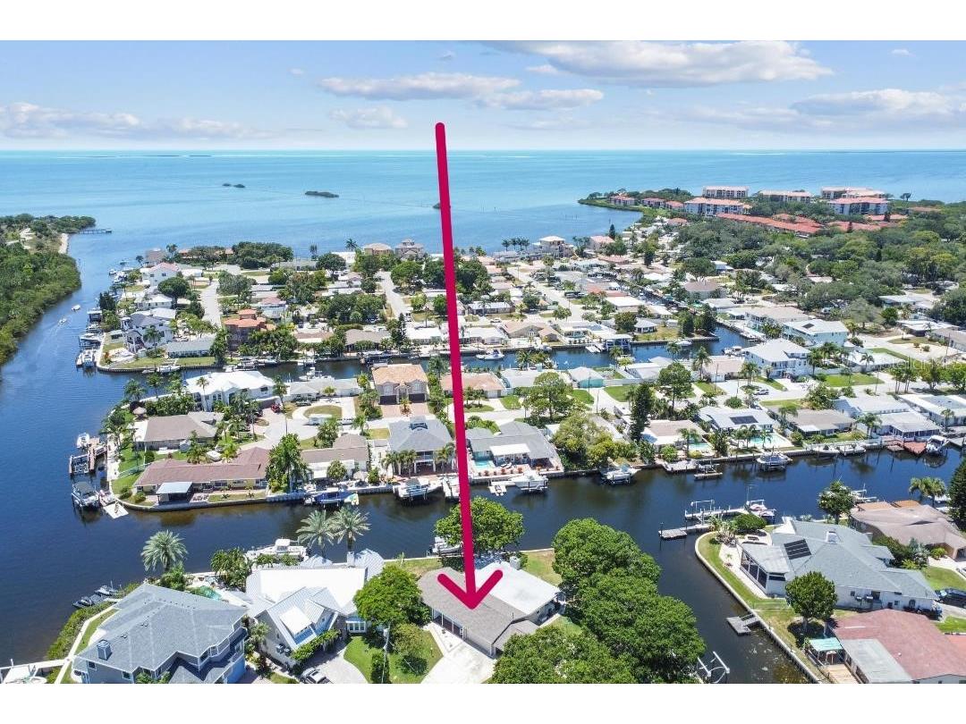 336 Westwinds Circle Palm Harbor FL 34683 TB8401057 image10