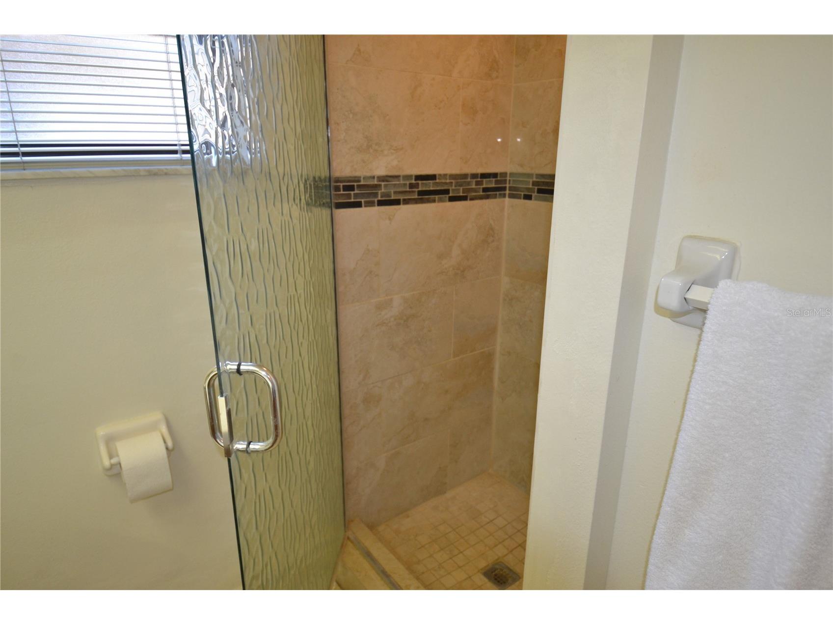 336 Woodlake Wynde Oldsmar FL 34677 TB8511765 image18