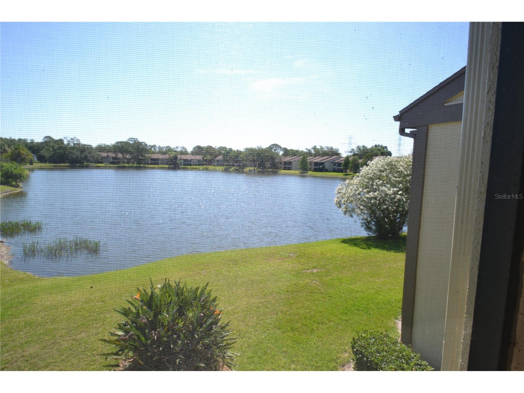 336 Woodlake Wynde Oldsmar FL 34677 TB8511765 image37