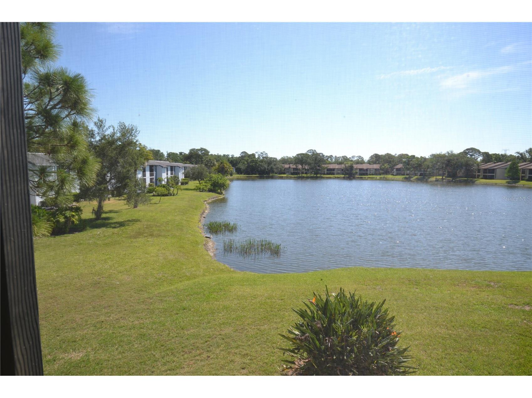 336 Woodlake Wynde Oldsmar FL 34677 TB8511765 image38