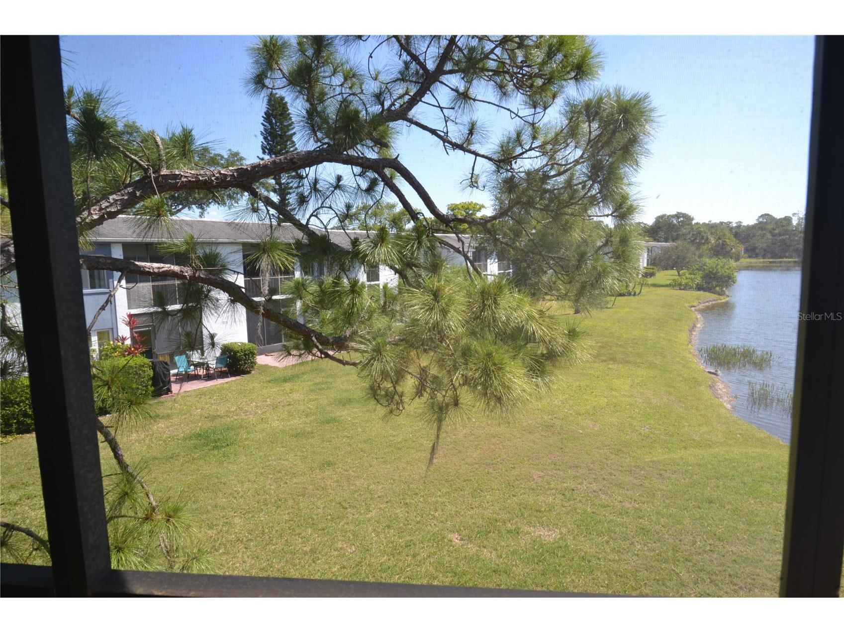 336 Woodlake Wynde Oldsmar FL 34677 TB8511765 image39
