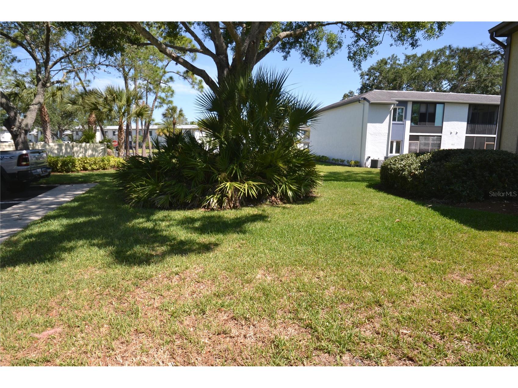 336 Woodlake Wynde Oldsmar FL 34677 TB8511765 image42