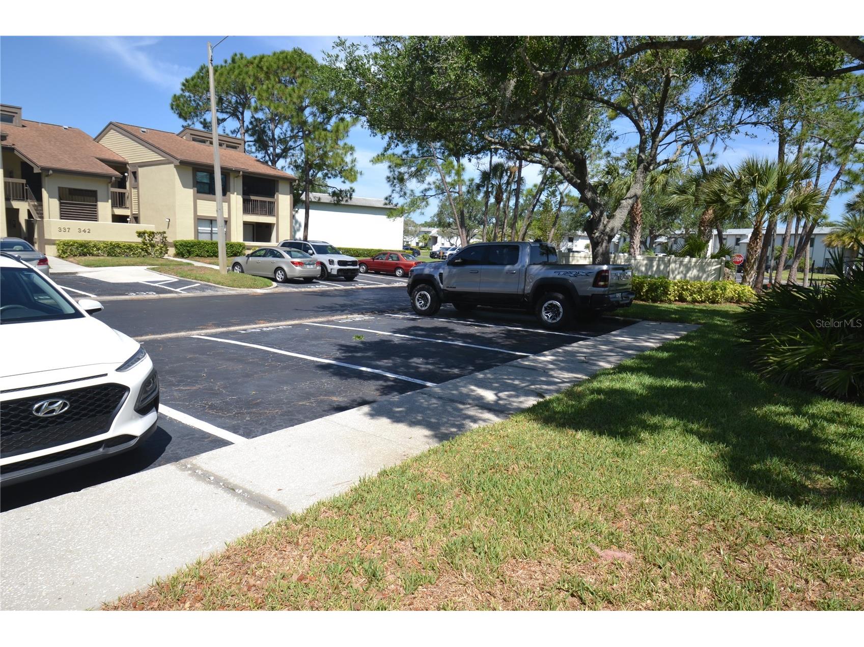 336 Woodlake Wynde Oldsmar FL 34677 TB8511765 image43