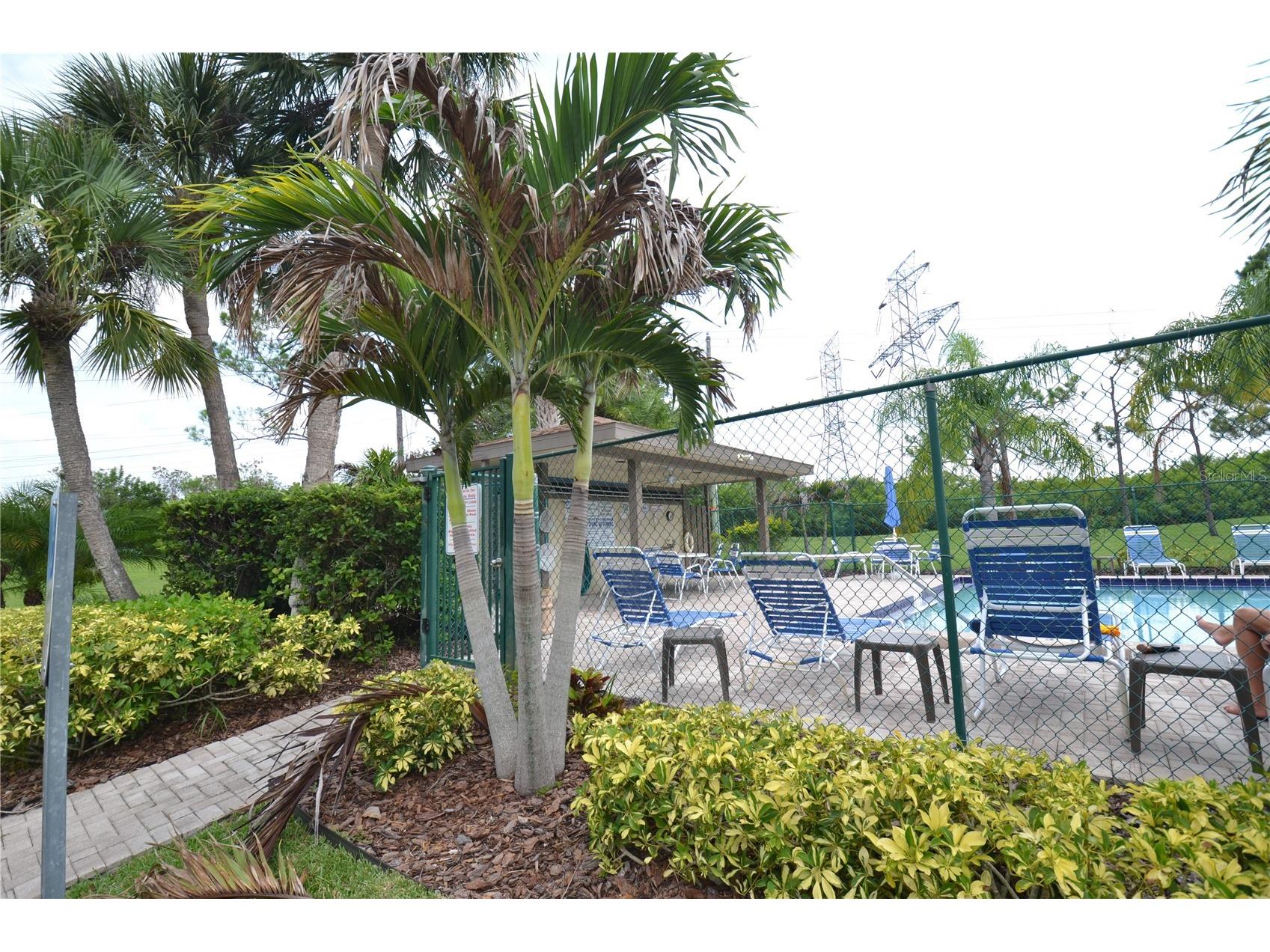 336 Woodlake Wynde Oldsmar FL 34677 TB8511765 image45