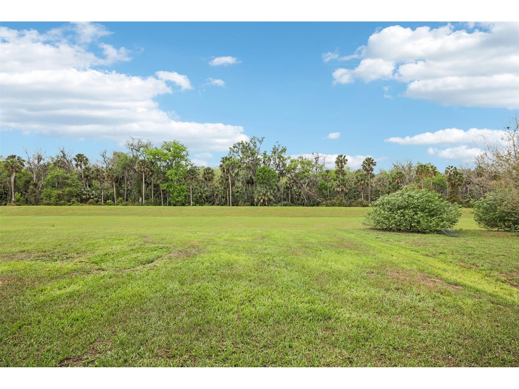 3360 Curlew Avenue Leesburg FL 34748 O6389048 image28