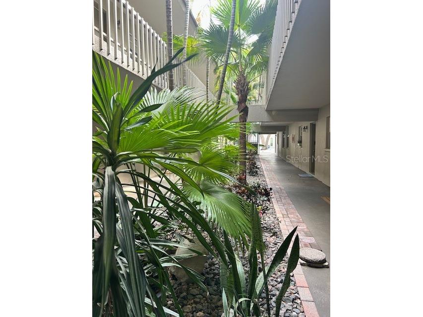 3360 S Osprey Avenue #210B Sarasota FL 34239 A4643488 image4