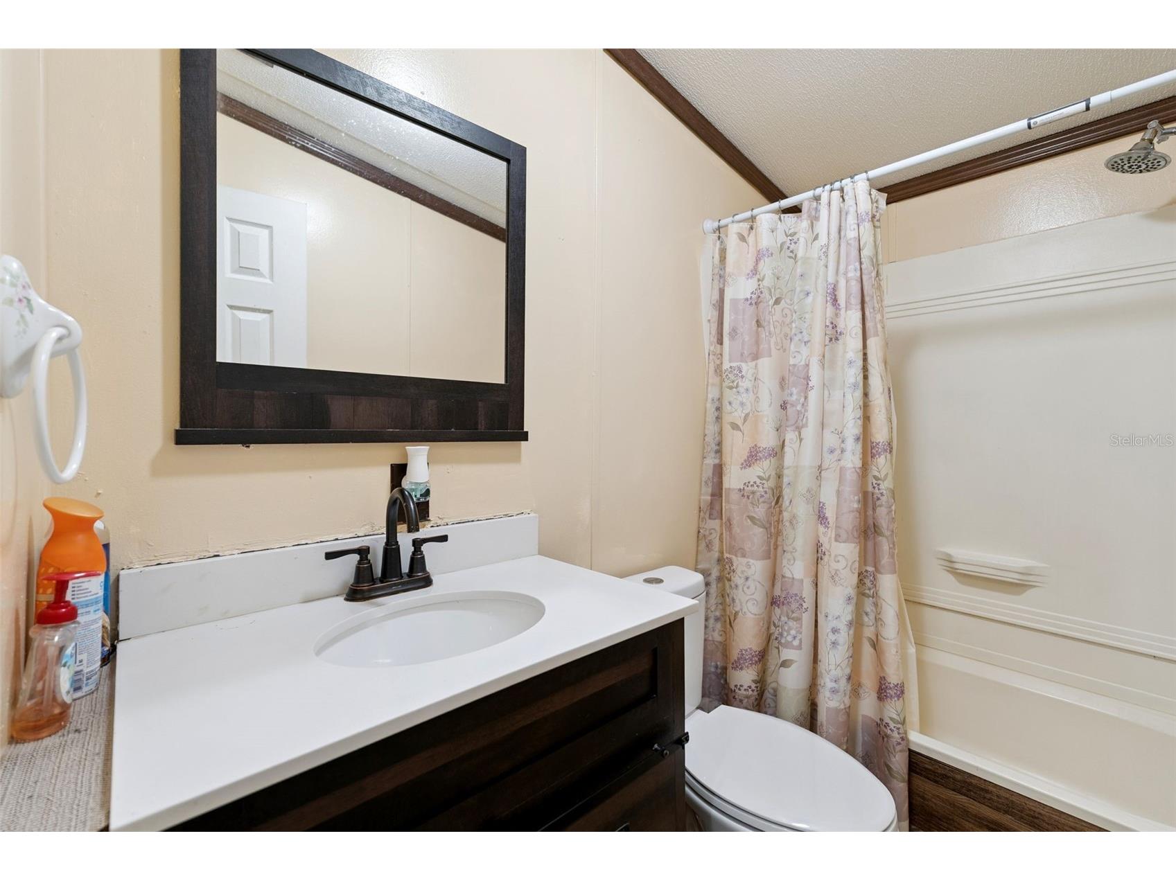 33601 Tammy Lane Wesley Chapel FL 33543 O6395625 image22