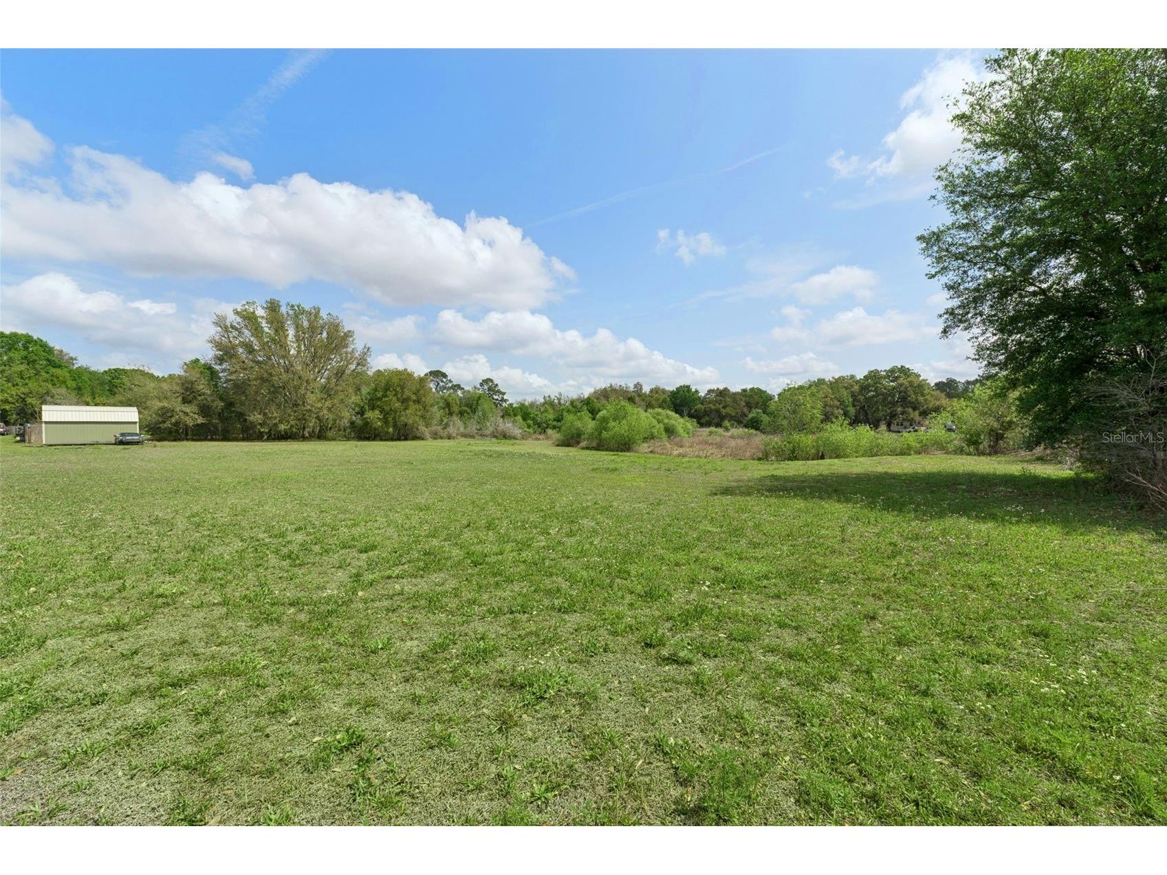 33601 Tammy Lane Wesley Chapel FL 33543 O6395625 image33