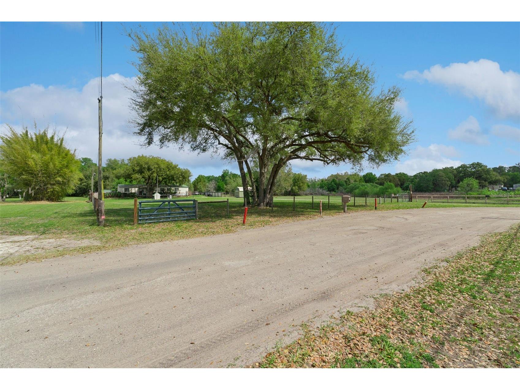 33601 Tammy Lane Wesley Chapel FL 33543 O6395625 image35