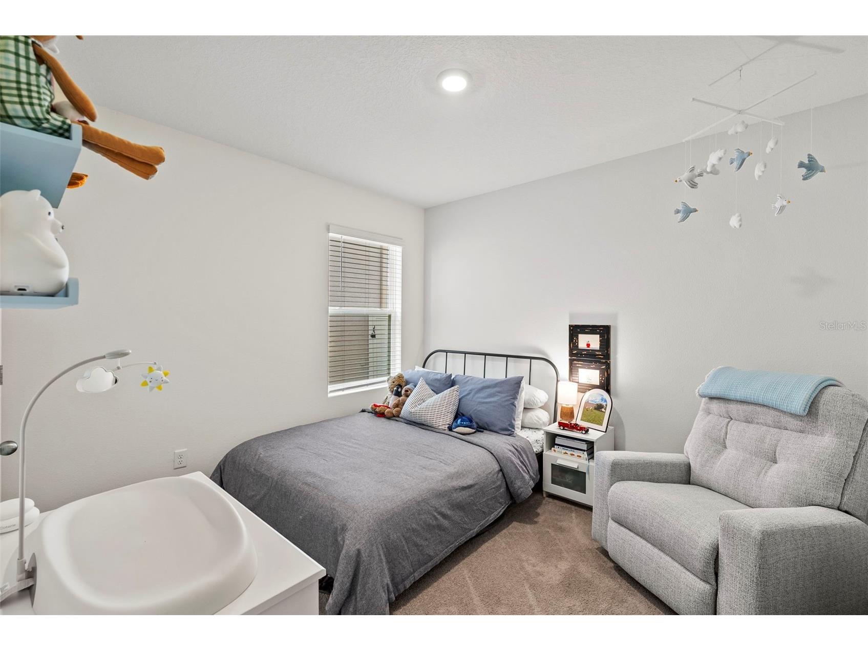 33607 Hamilton Hill Lane Wesley Chapel FL 33545 TB8525207 image15