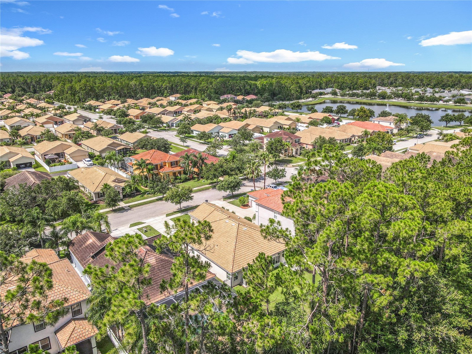 3361 Pegaso Avenue New Smyrna Beach FL 32168 NS1087472 image37