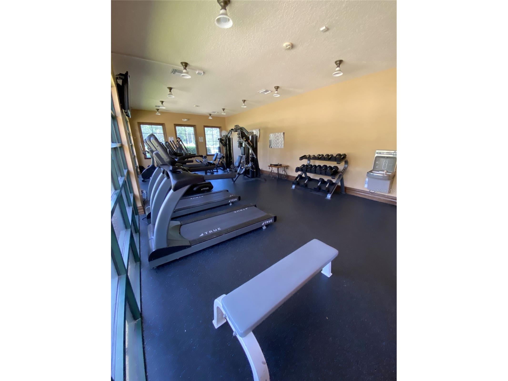 33614 Campeon Court Sorrento FL 32776 O6360921 image10