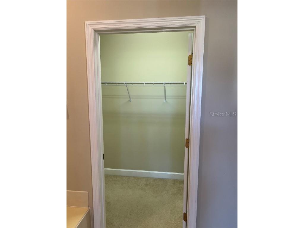 33614 Campeon Court Sorrento FL 32776 O6360921 image15