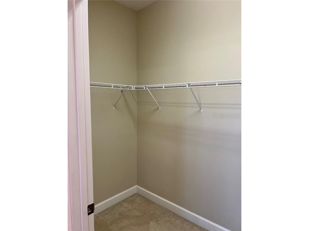 33614 Campeon Court Sorrento FL 32776 O6360921 image16