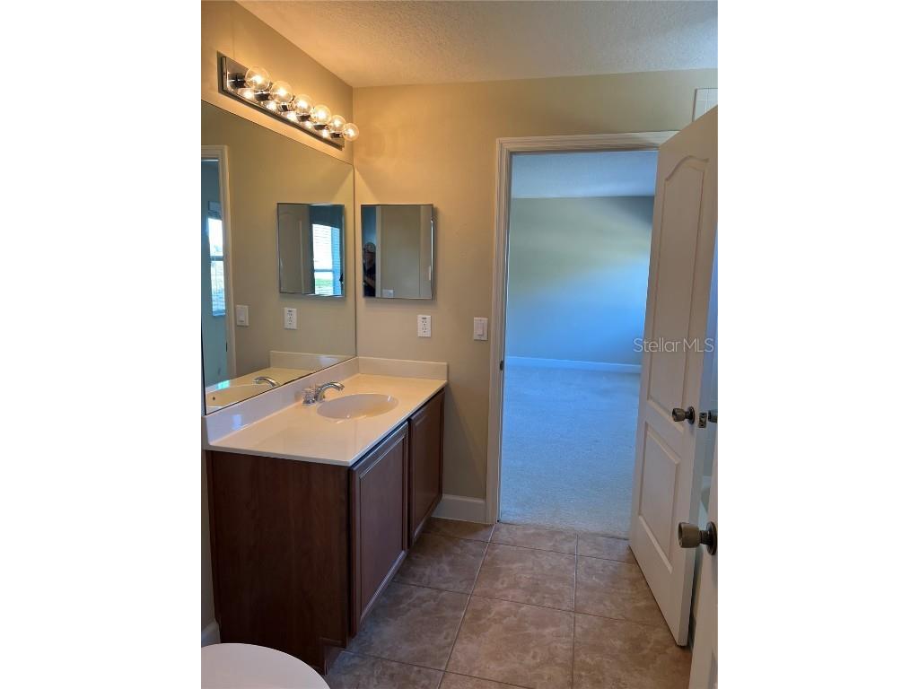 33614 Campeon Court Sorrento FL 32776 O6360921 image25