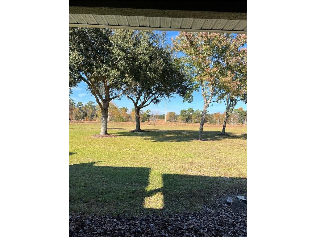 33614 Campeon Court Sorrento FL 32776 O6360921 image31