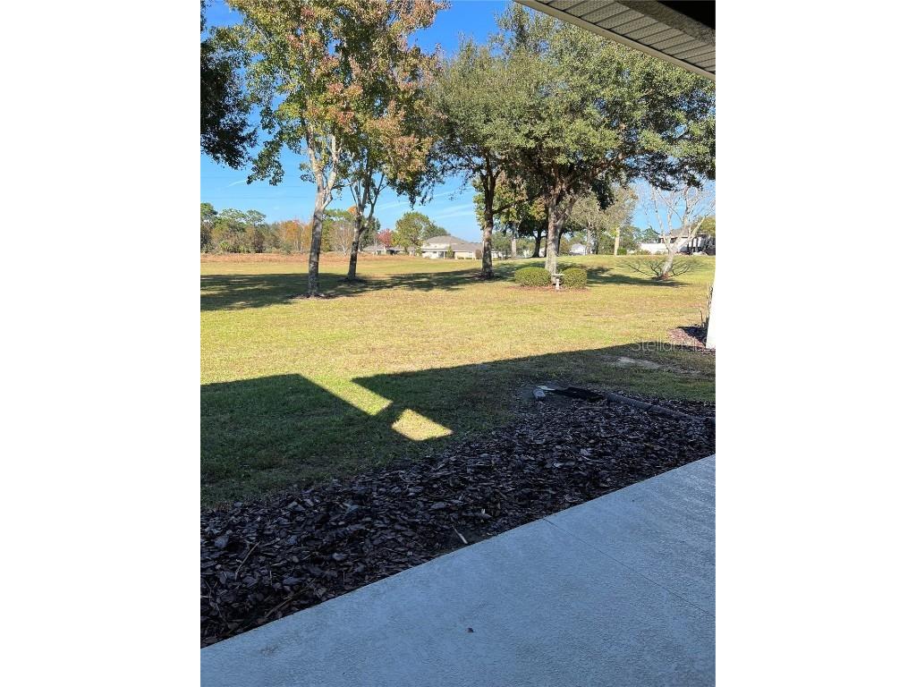 33614 Campeon Court Sorrento FL 32776 O6360921 image32