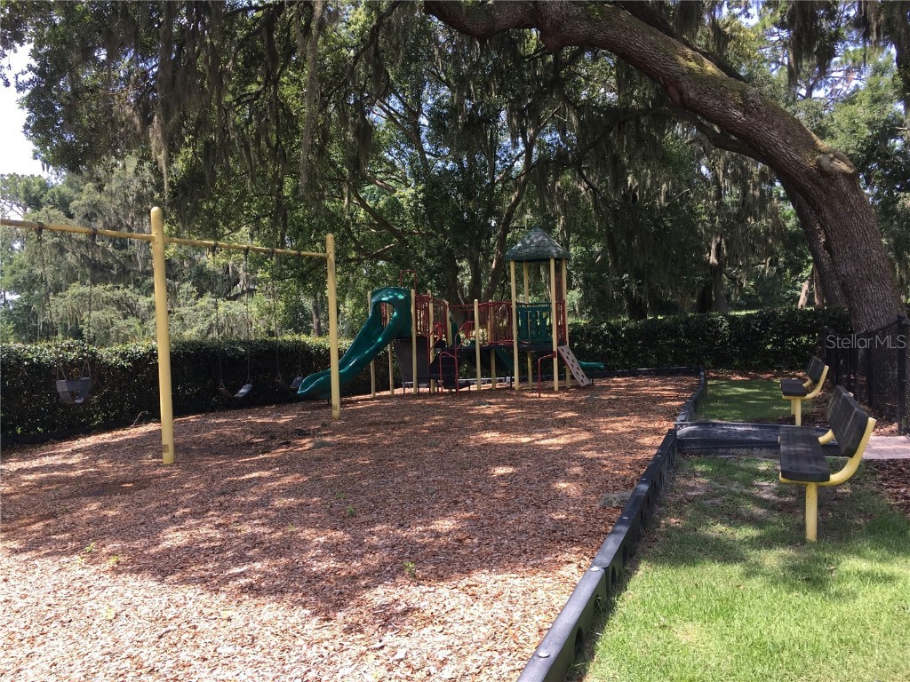 33614 Campeon Court Sorrento FL 32776 O6360921 image38