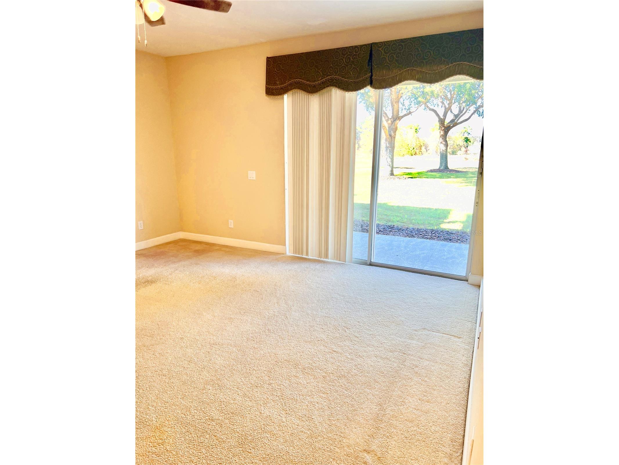 33614 Campeon Court Sorrento FL 32776 O6360921 image4