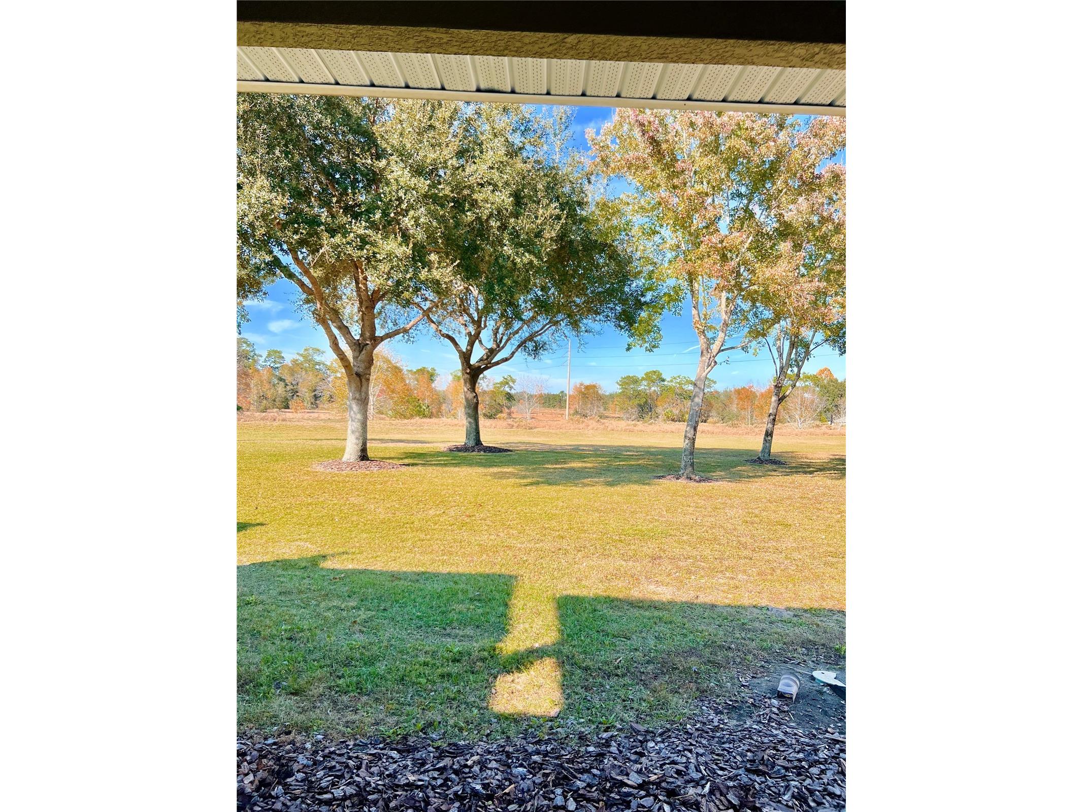 33614 Campeon Court Sorrento FL 32776 O6360921 image6