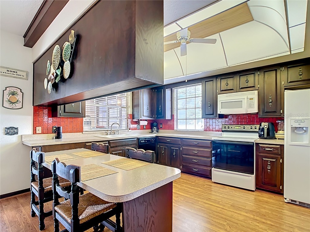 33620 Picciola Drive Fruitland Park FL 34731 - LAKE GRIFFIN G5106252 image28