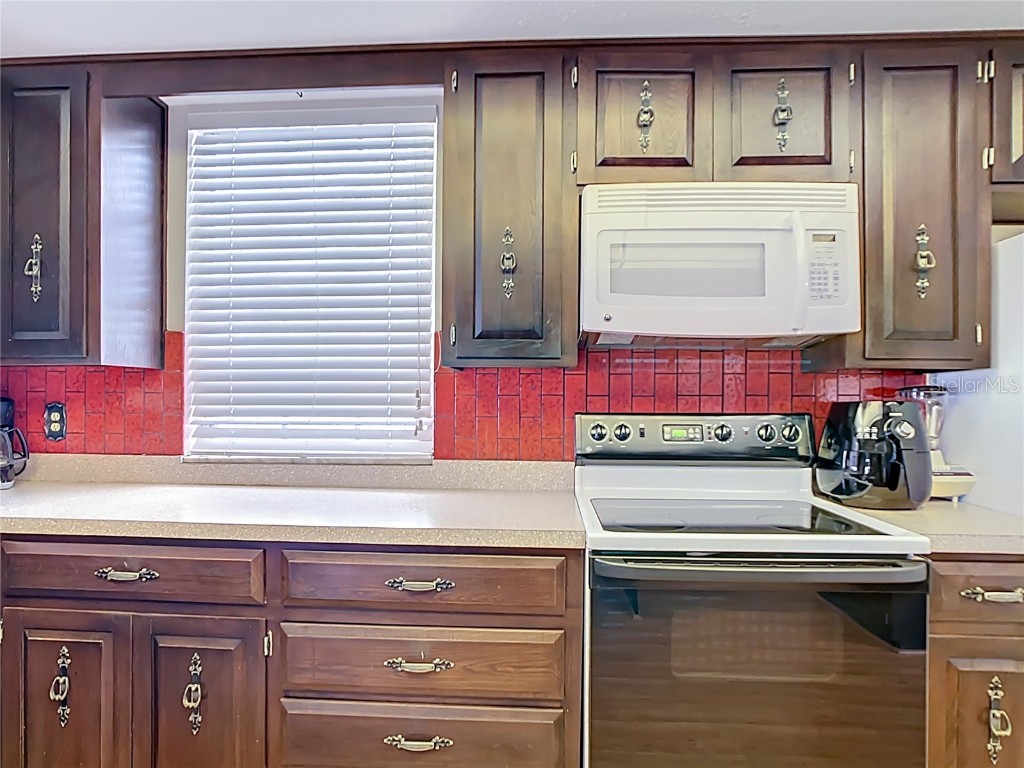 33620 Picciola Drive Fruitland Park FL 34731 - LAKE GRIFFIN G5106252 image33