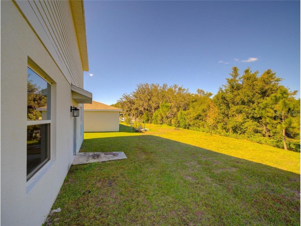 33622 Sky Blossom Circle Leesburg FL 34788 S5137510 image44