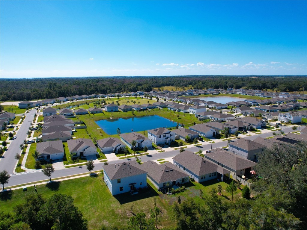 33622 Sky Blossom Circle Leesburg FL 34788 S5137510 image47