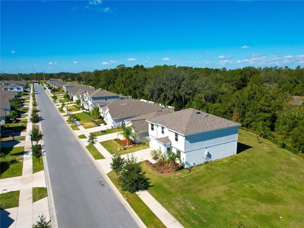 33622 Sky Blossom Circle Leesburg FL 34788 S5137510 image56