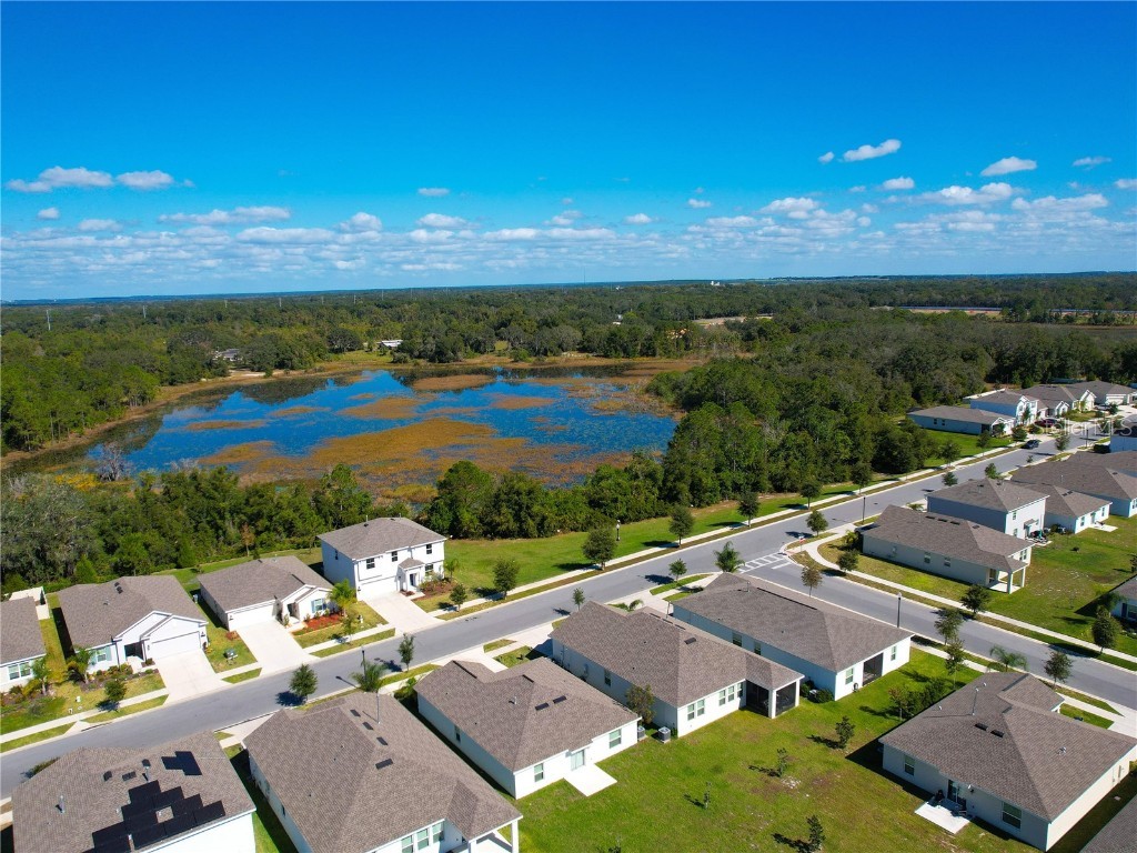 33622 Sky Blossom Circle Leesburg FL 34788 S5137510 image58