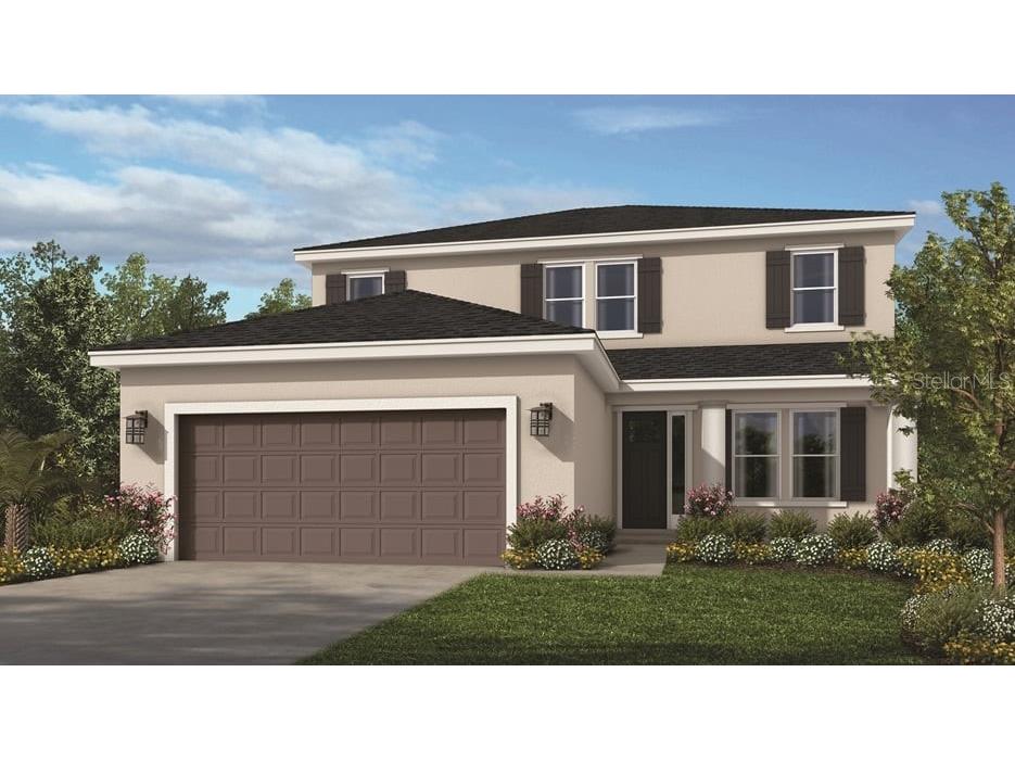 33623 Castaway Loop Wesley Chapel FL 33543 A4555442 image1