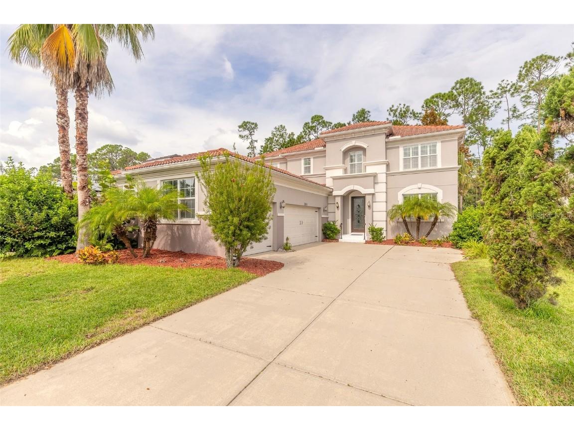 3363 Pegaso Avenue New Smyrna Beach FL 32168 NS1082893 image1