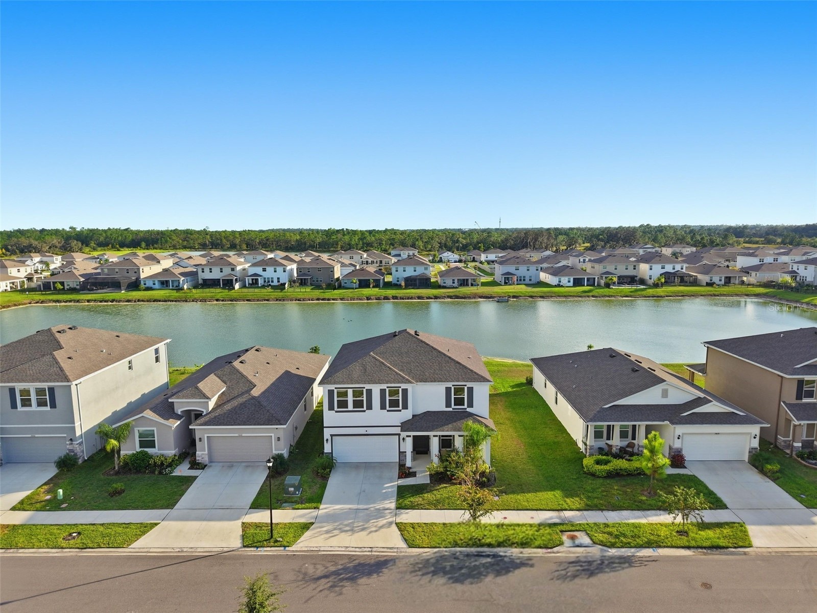 33634 Garden Sage Isle Wesley Chapel FL 33545 TB8441532 image1