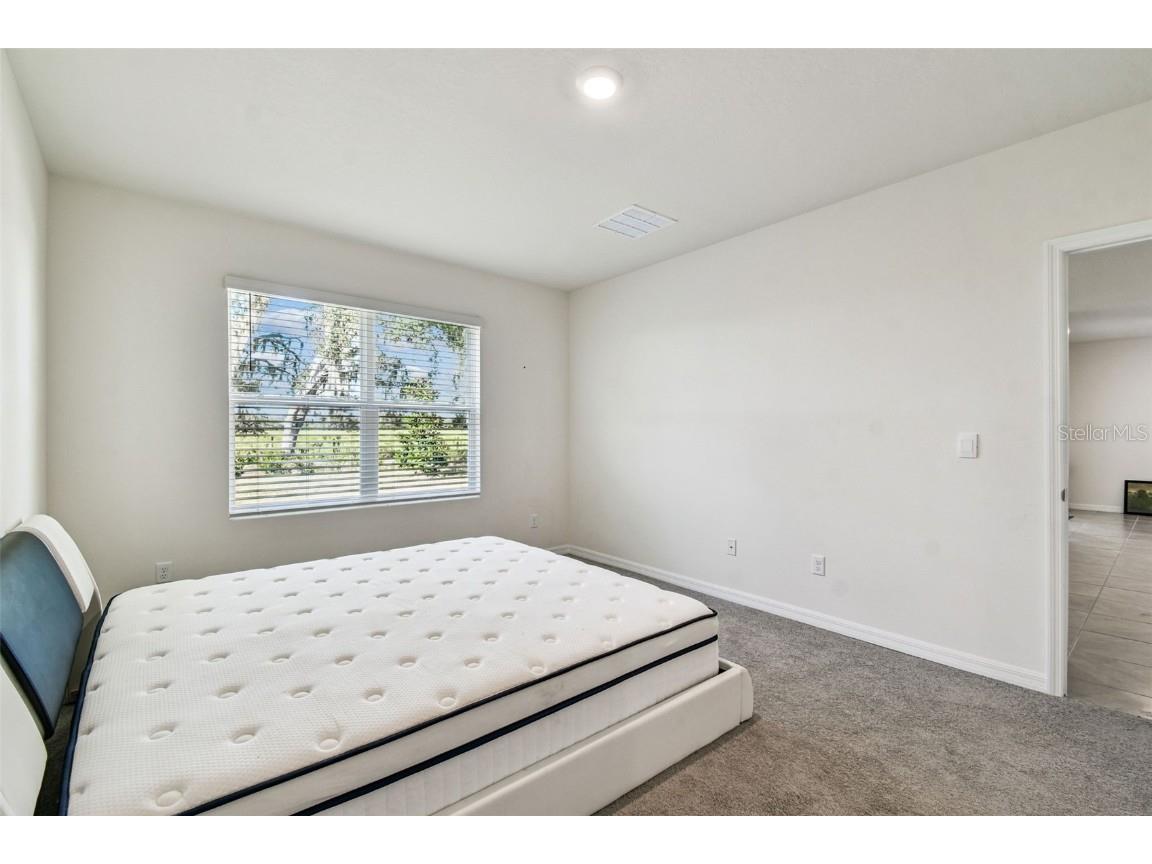 33635 Field Maple Loop Wesley Chapel FL 33545 TB8443840 image22