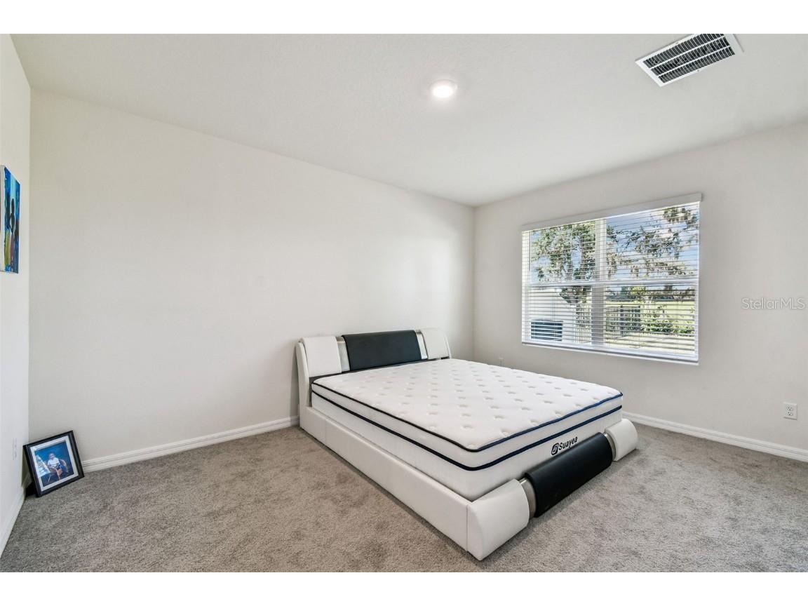 33635 Field Maple Loop Wesley Chapel FL 33545 TB8443840 image24