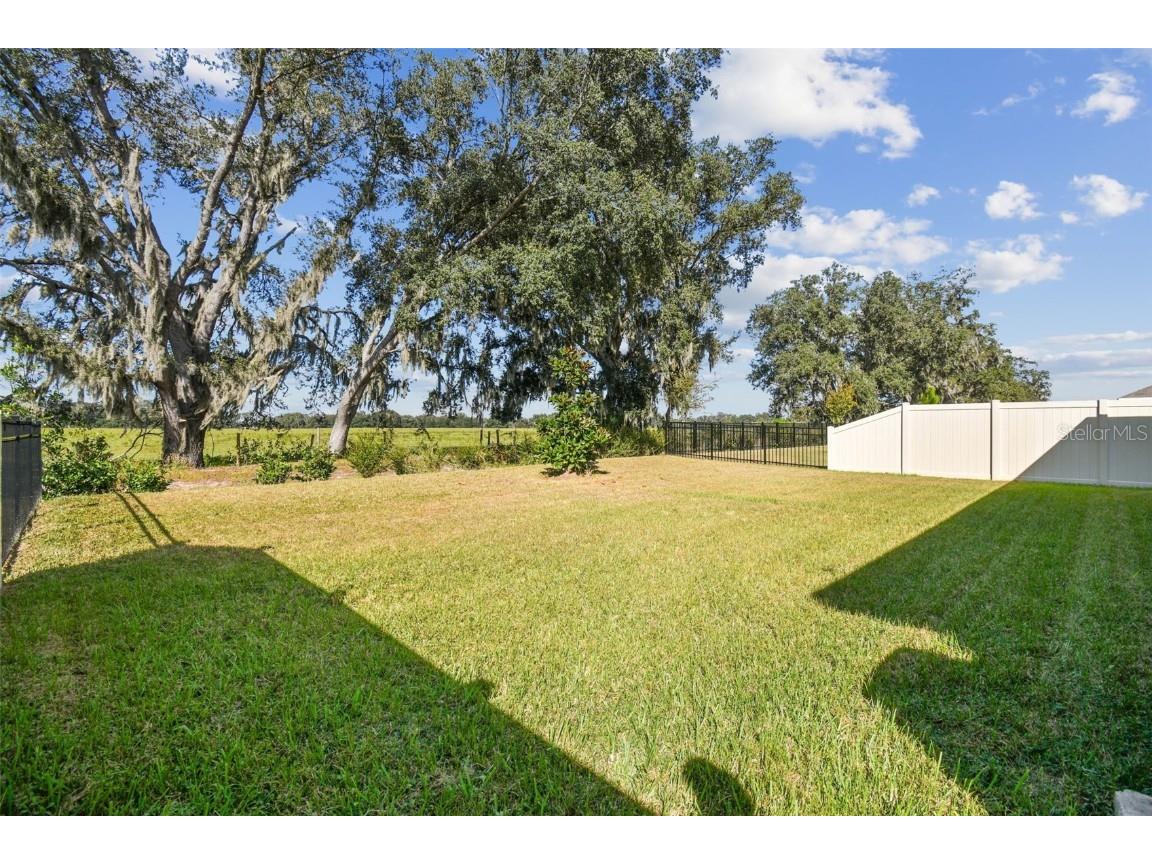 33635 Field Maple Loop Wesley Chapel FL 33545 TB8443840 image32