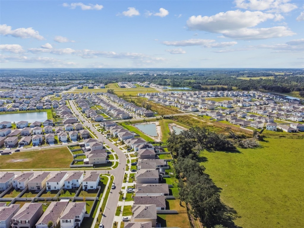 33635 Field Maple Loop Wesley Chapel FL 33545 TB8443840 image34