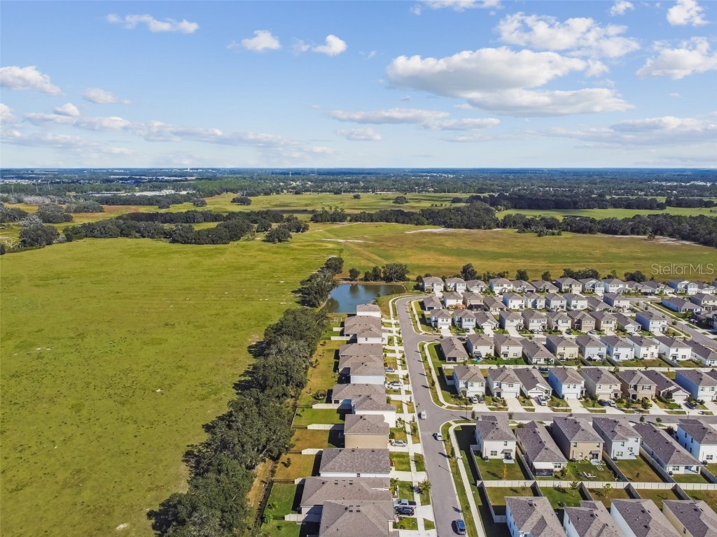 33635 Field Maple Loop Wesley Chapel FL 33545 TB8443840 image35