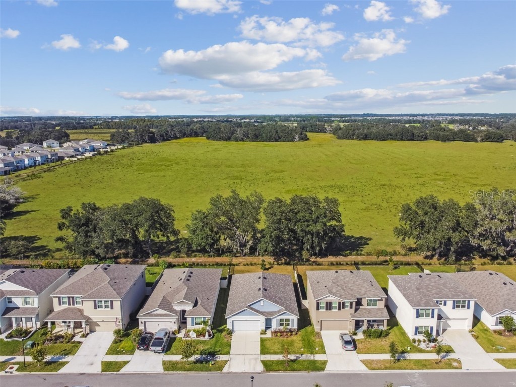 33635 Field Maple Loop Wesley Chapel FL 33545 TB8443840 image36