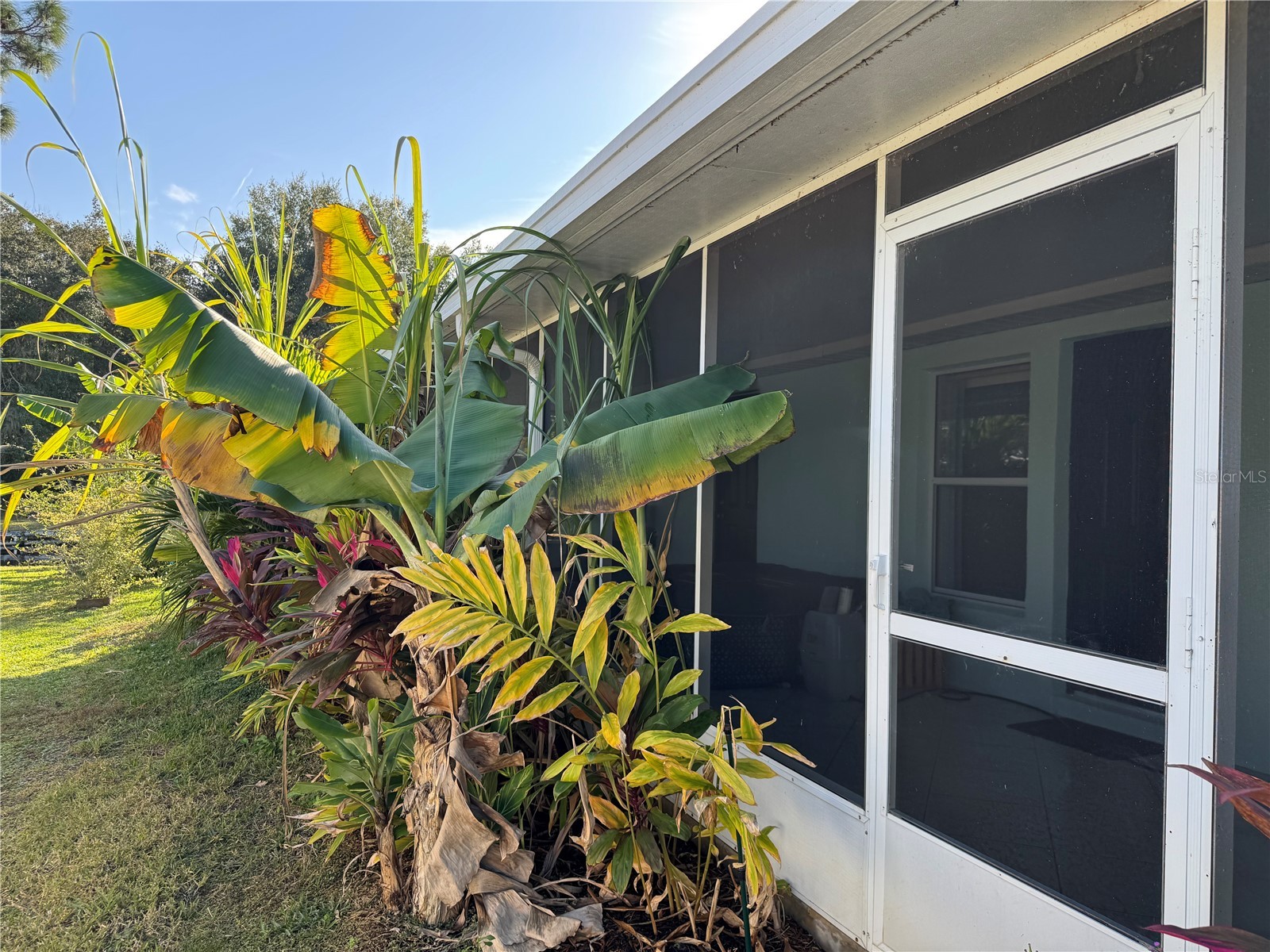 33635 Jeffery Court Leesburg FL 34788 G5106221 image27