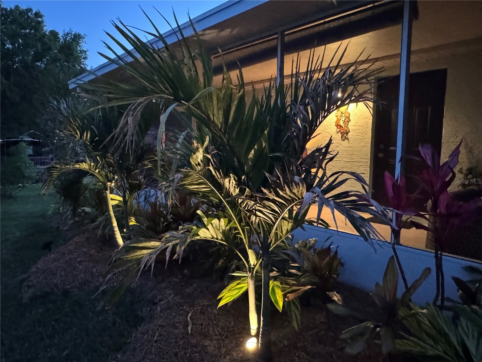 33635 Jeffery Court Leesburg FL 34788 G5106221 image38