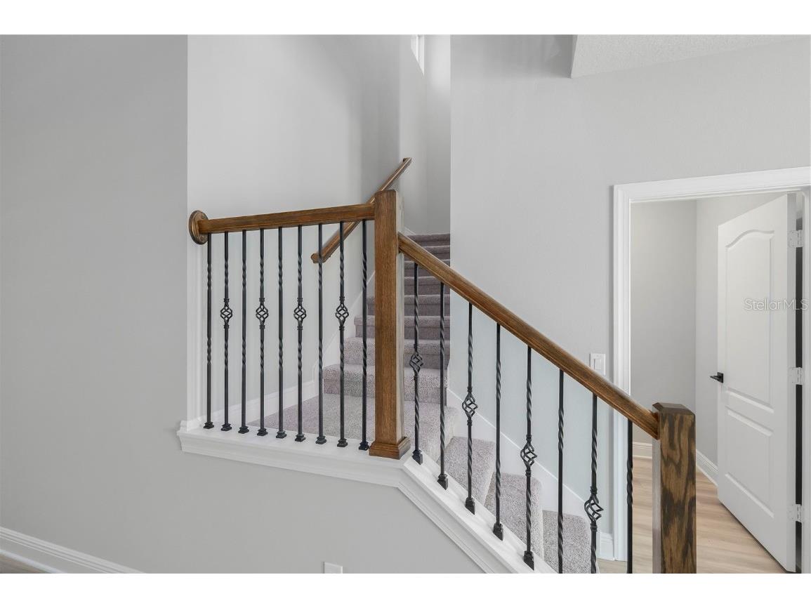 3364 Chinotto Drive Lake Alfred FL 33850 - GUM LAKE TB8442873 image14