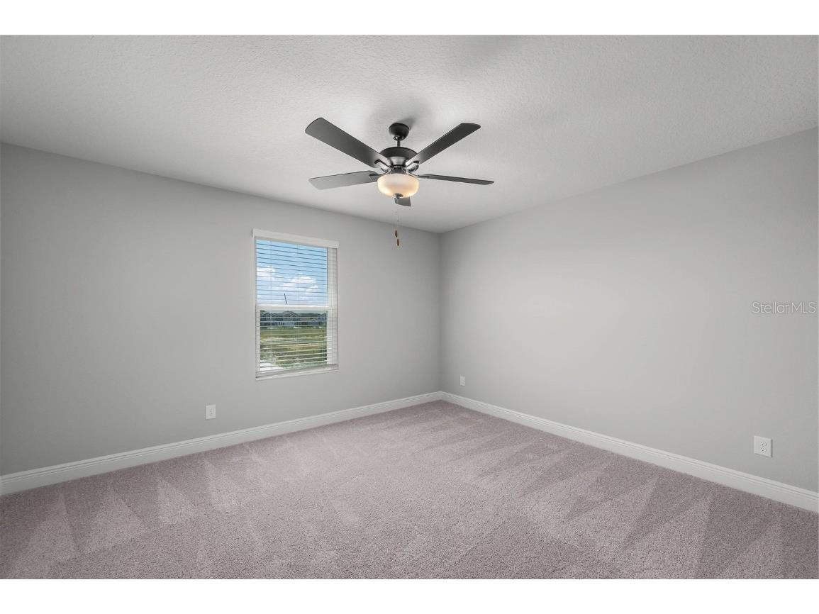 3364 Chinotto Drive Lake Alfred FL 33850 - GUM LAKE TB8442873 image25