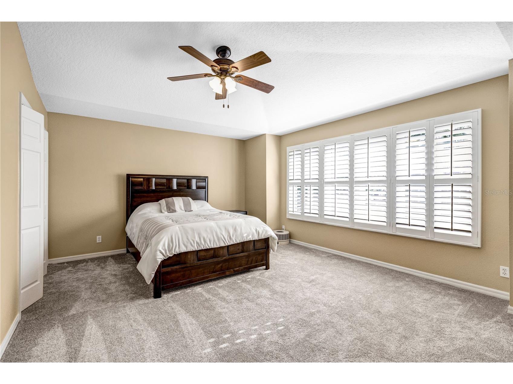 3364 Covered Bridge Drive E Dunedin FL 34698 TB8491977 image27