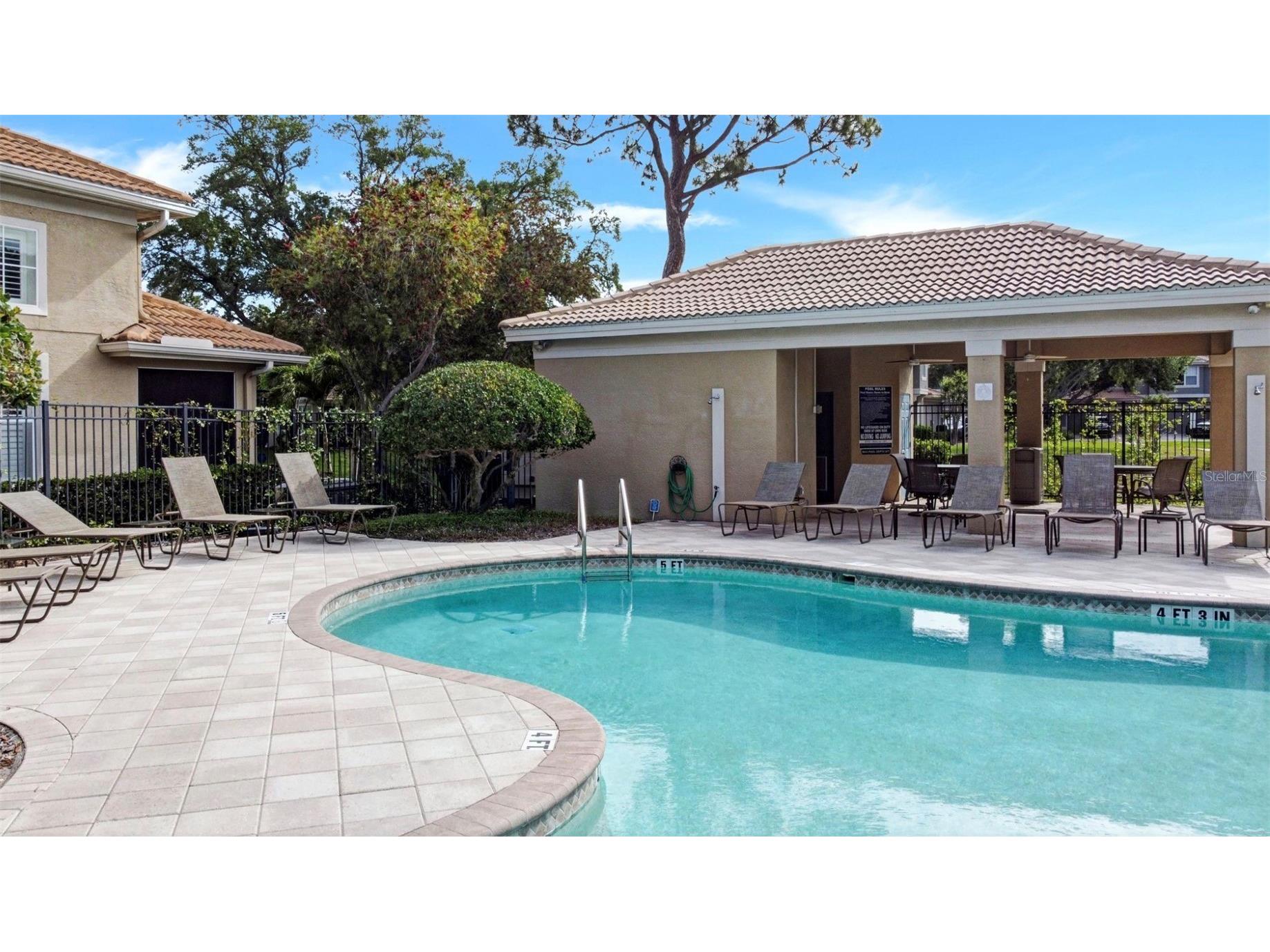 3364 Covered Bridge Drive E Dunedin FL 34698 TB8491977 image42