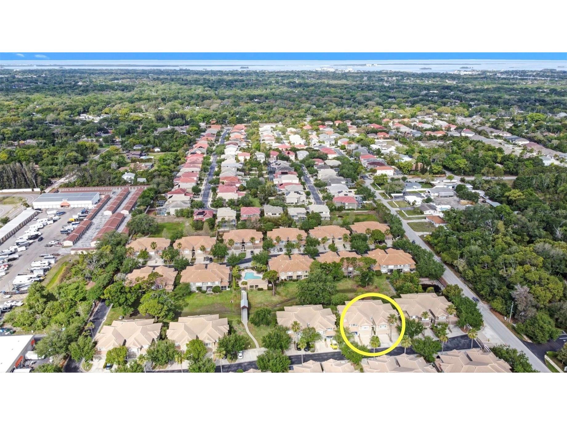 3364 Covered Bridge Drive E Dunedin FL 34698 TB8491977 image49