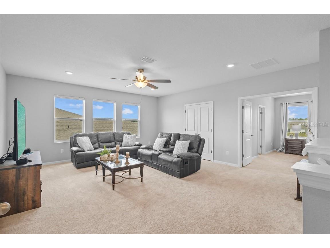 33645 Elm Hill Branch Wesley Chapel FL 33545 TB8365747 image1