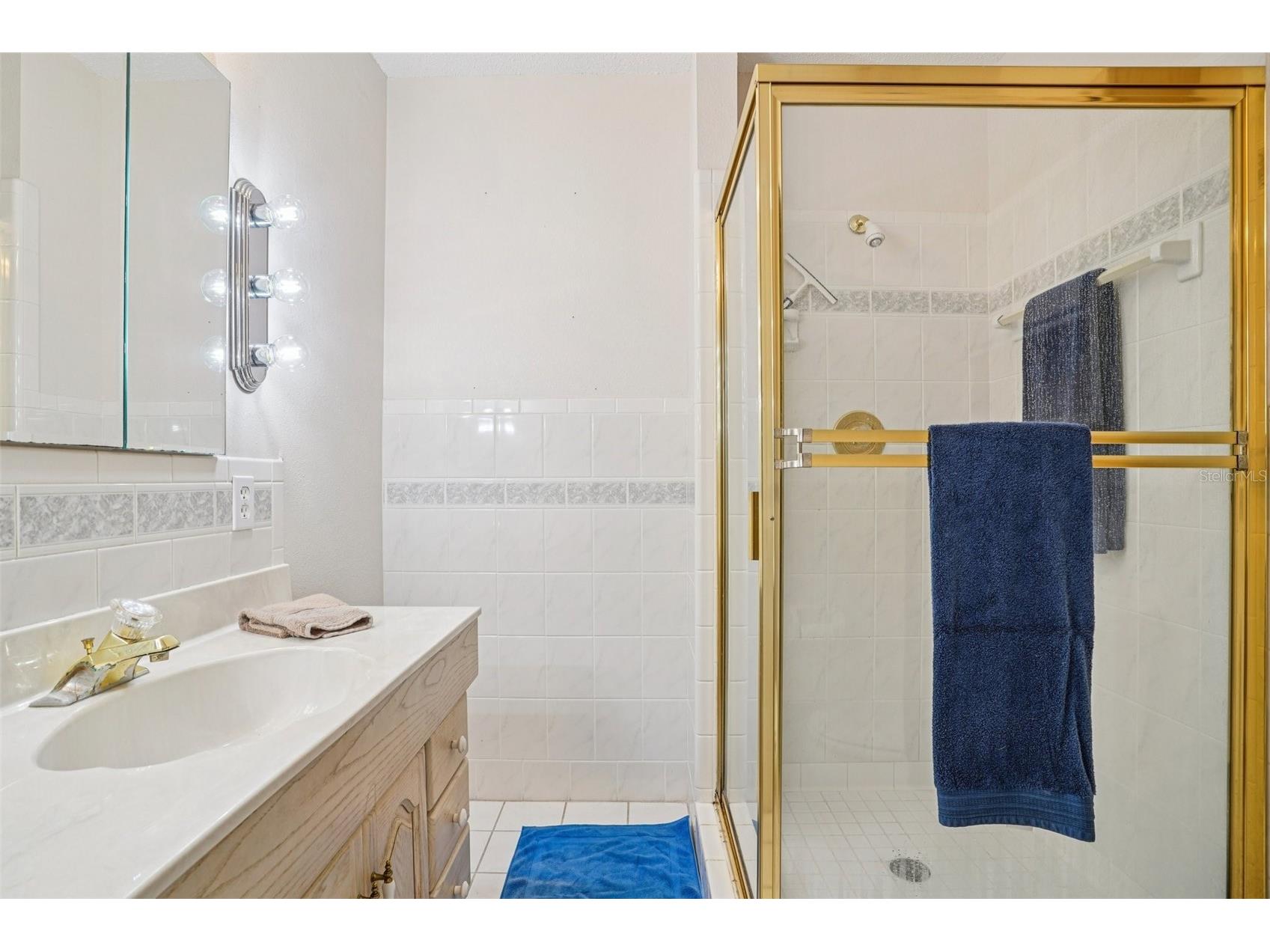 33651 Overton Drive Leesburg FL 34788 G5101729 image38