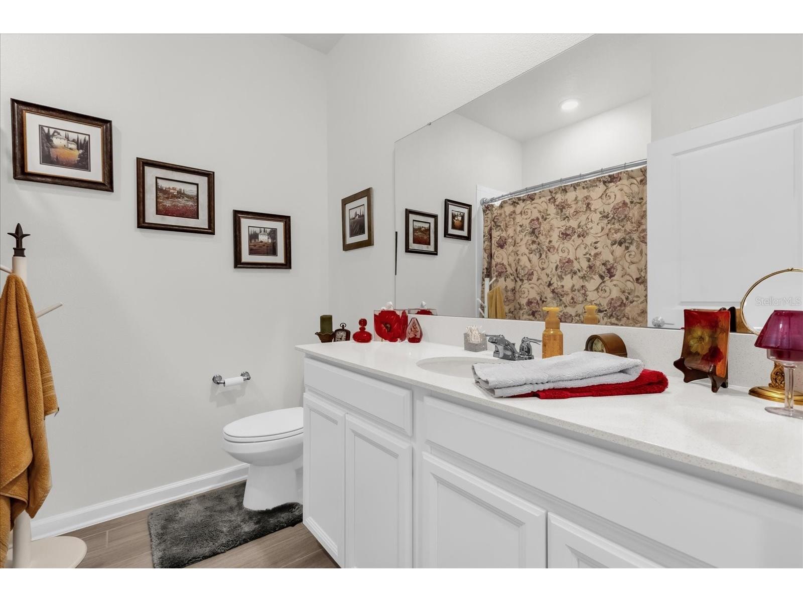 33655 Sky Blossom Circle Leesburg FL 34788 O6388763 image22